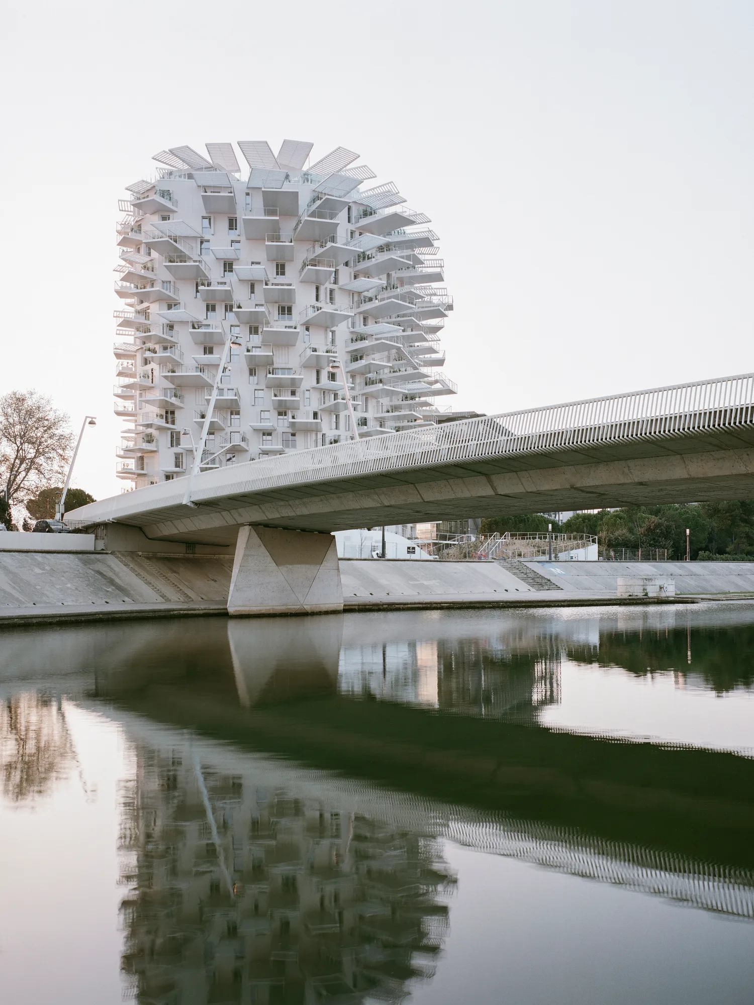 Arbre Blanc, Montpellier — vue 10 — OXO Architectes