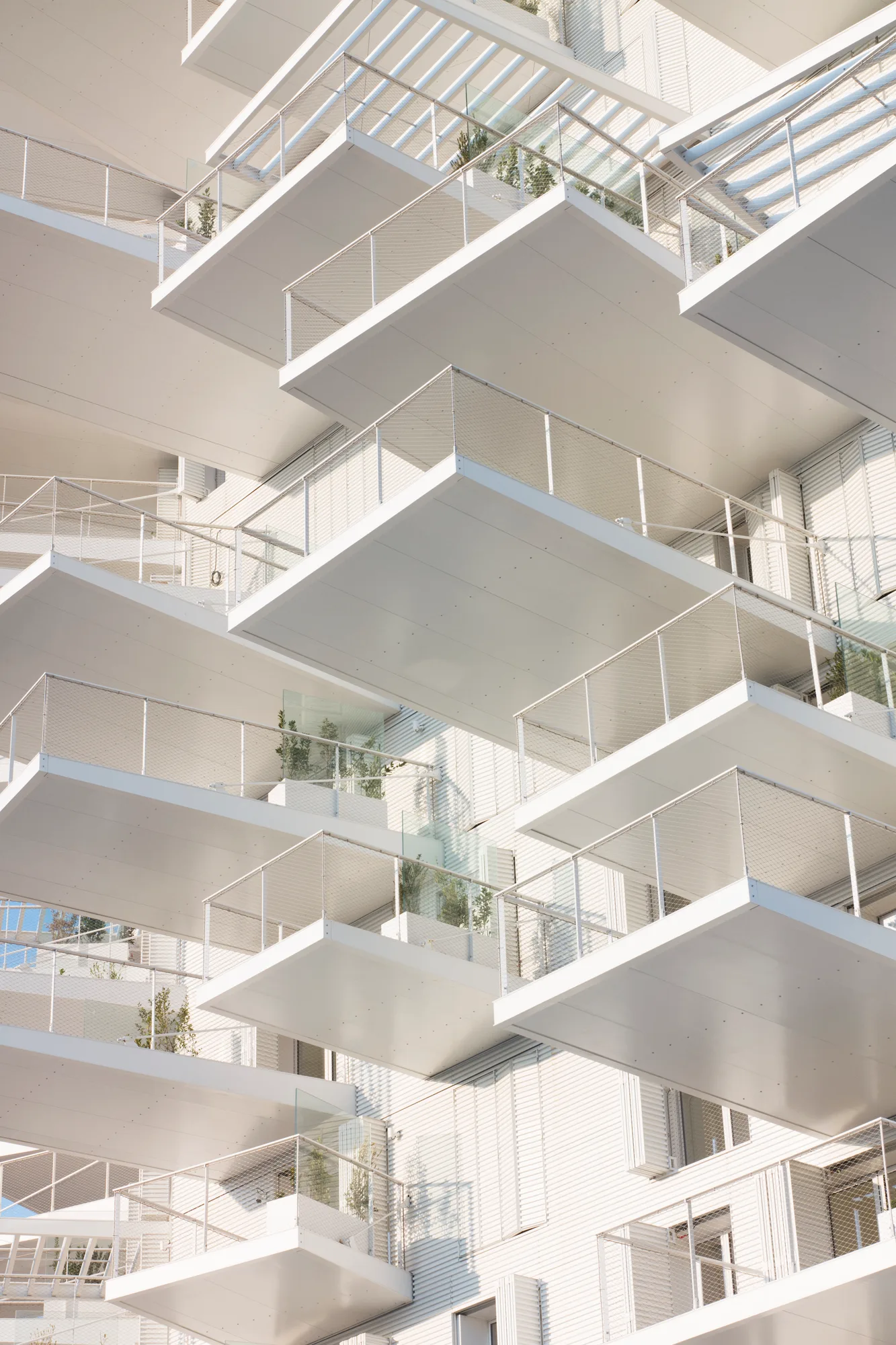 Arbre Blanc, Montpellier, vue 9, OXO Architectes