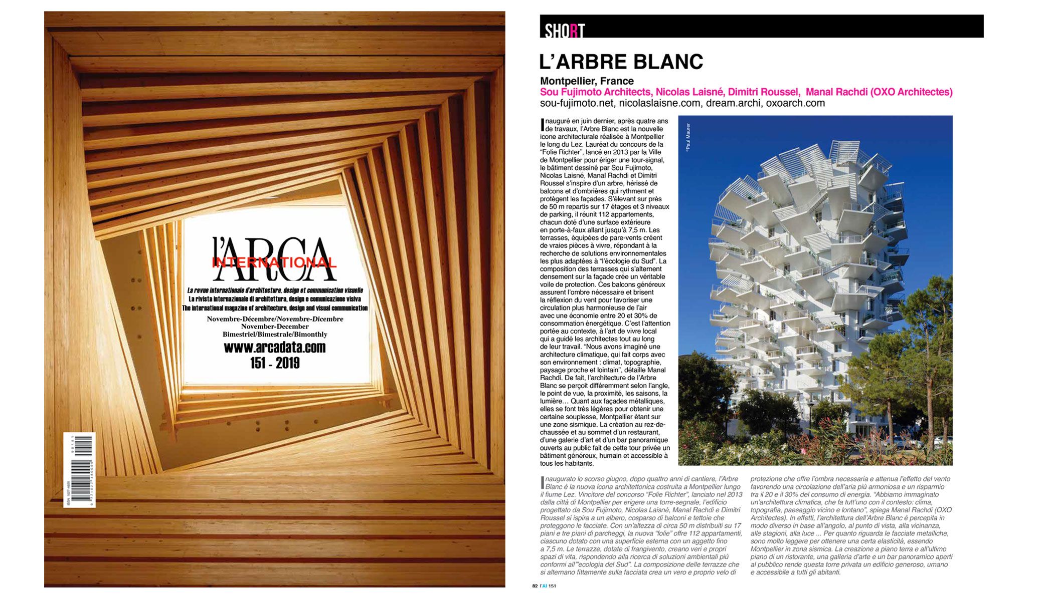 L'ARCA INTERNATIONAL: L'Arbre Blanc