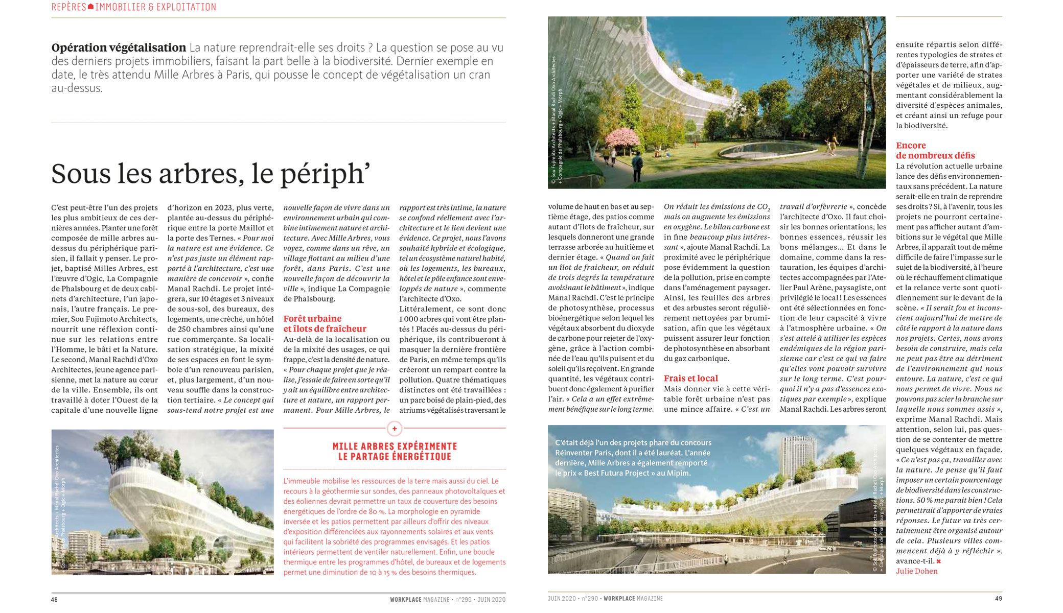 WORKPLACE MAGAZINE: Under the trees, the ring road