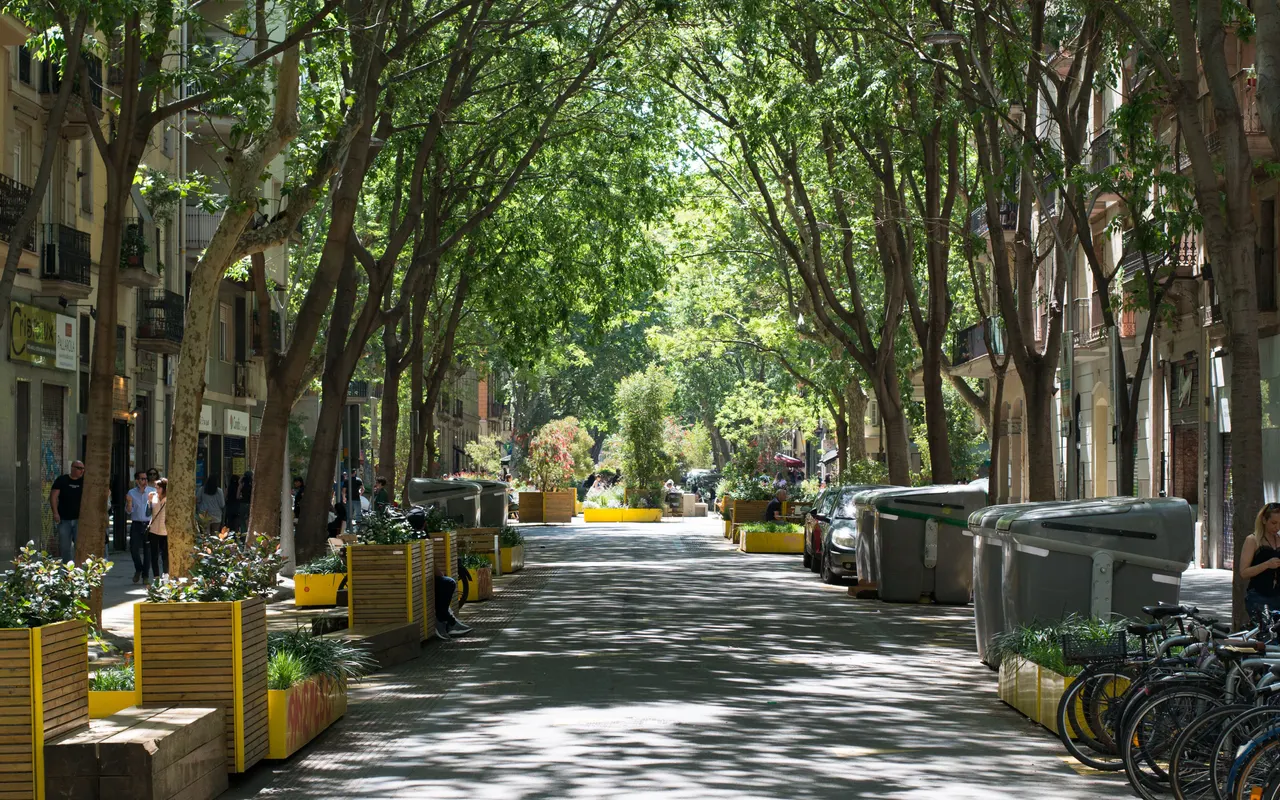 Rue de Barcelone bordée d'arbres, jeux d'ombre et de lumière